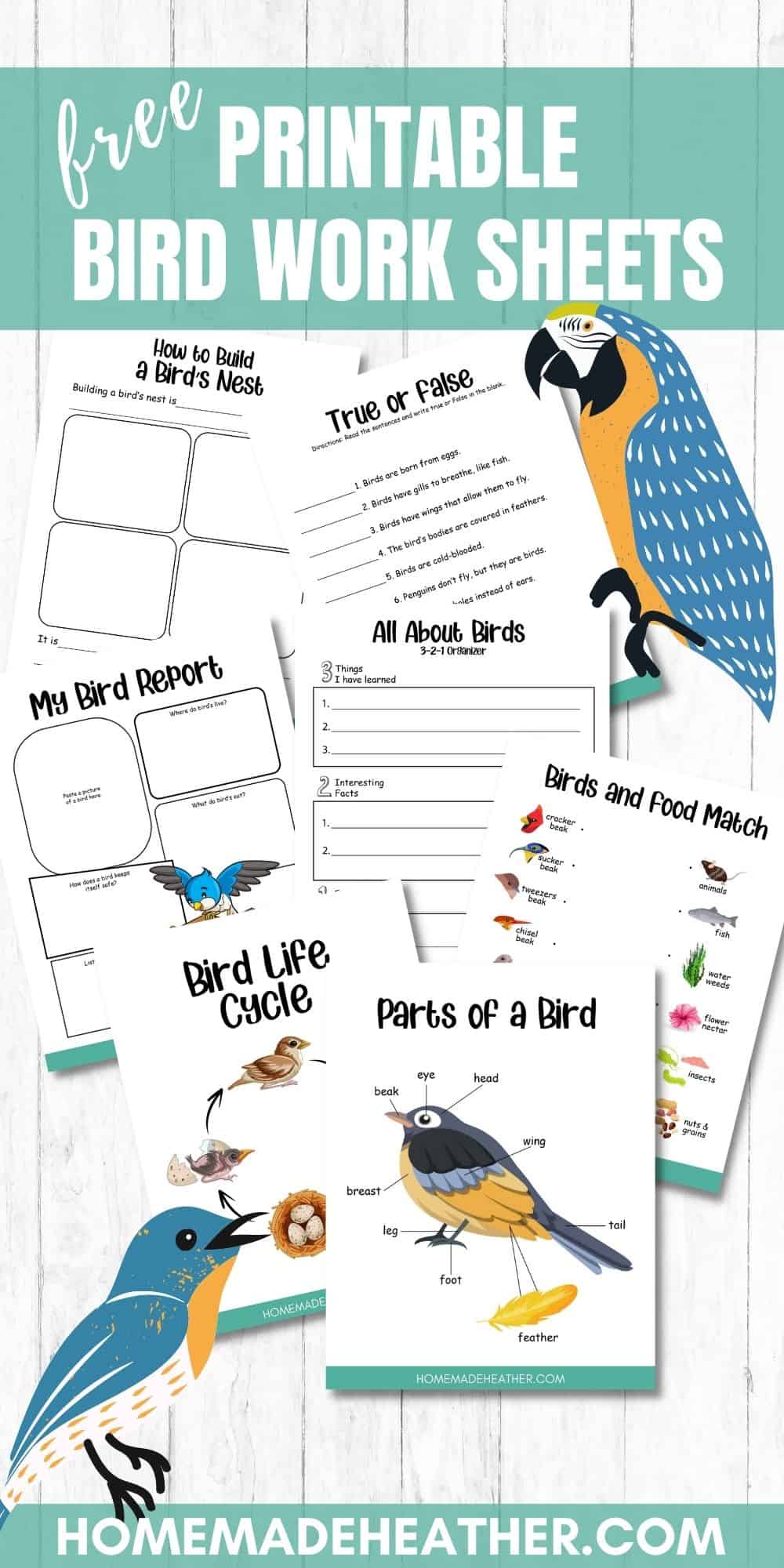 Free bird printable work sheets homemade heather