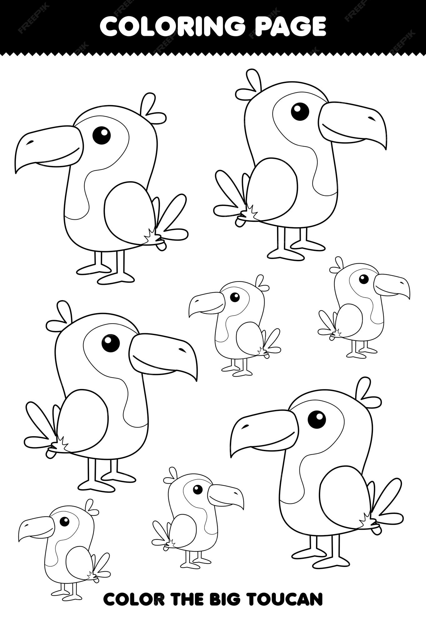 Premium vector education game for children coloring page big or small picture of cute cartoon toucan bird animal line art printable worksheet