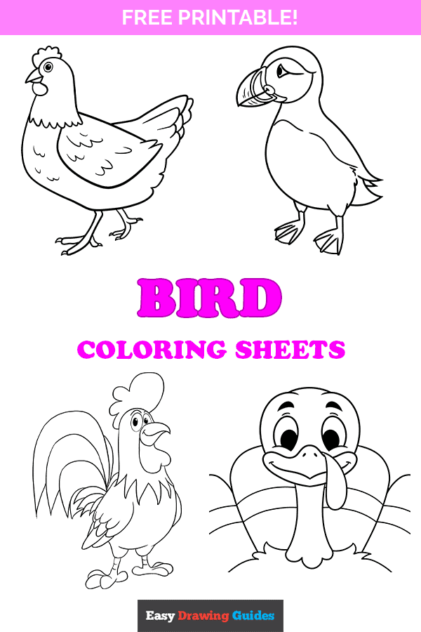 Free printable bird coloring pages for kids