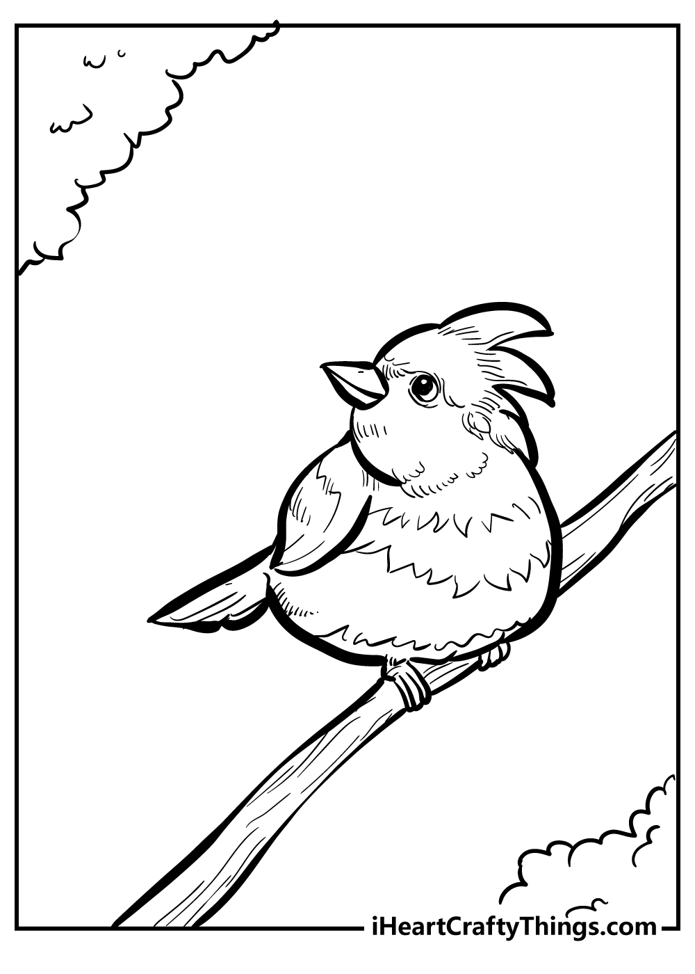 Bird coloring pages free printables