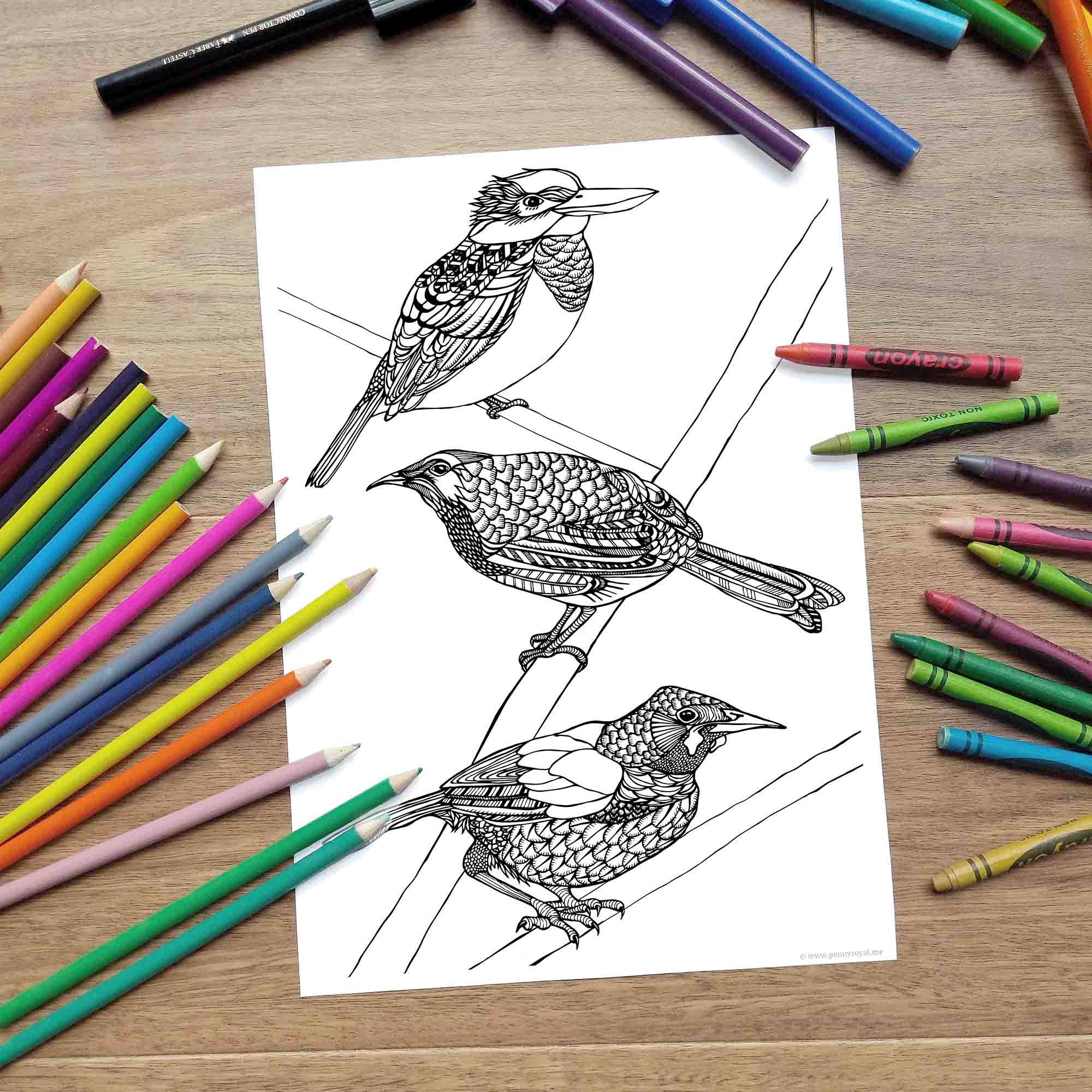 Free perching birds coloring page â digital download free