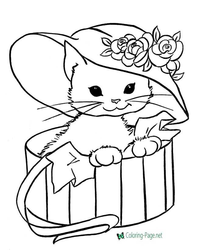 Cat coloring pages