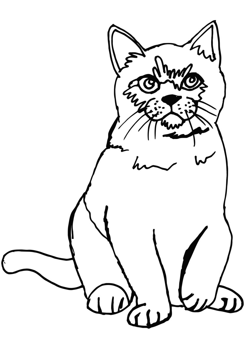 Free printable cat coloring pages for kids