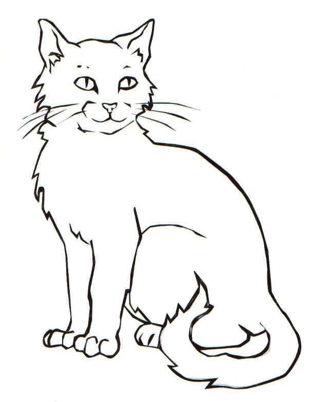 Adorable cat coloring pages