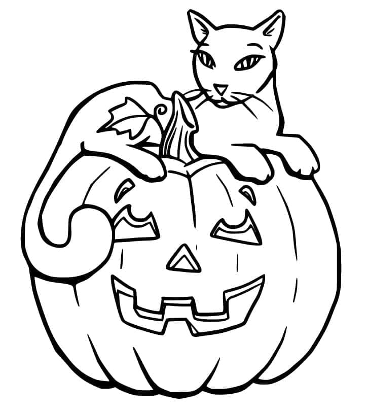 Normal halloween cat coloring page