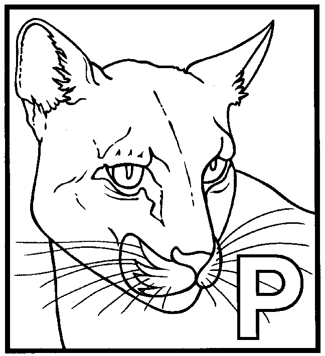 Panther coloring page