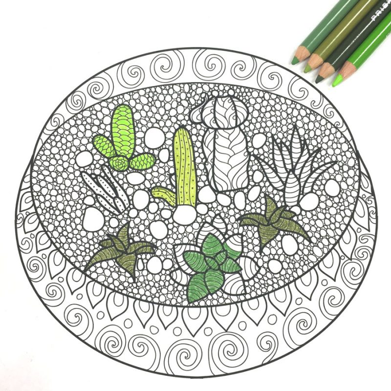 Free adult coloring book pages with succulent terrariums