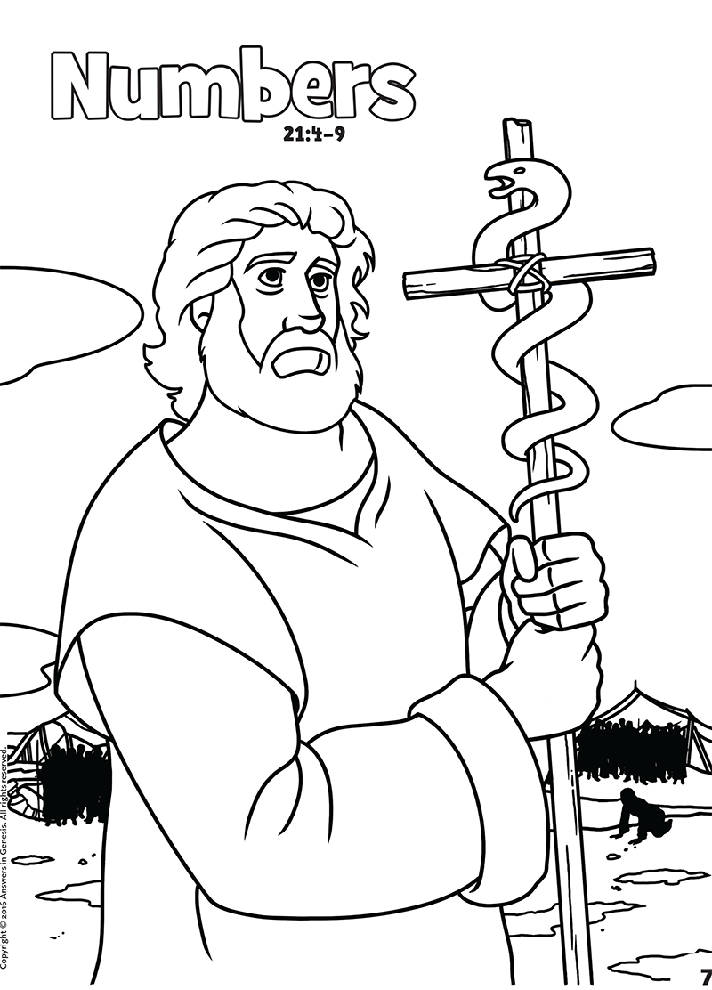 Books of the bible coloring book kids answers