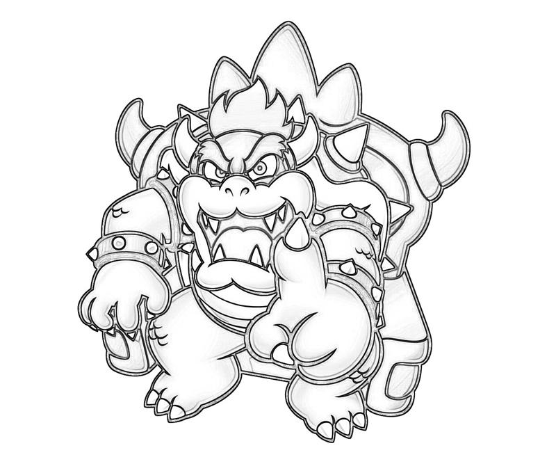 Bowser bowser king