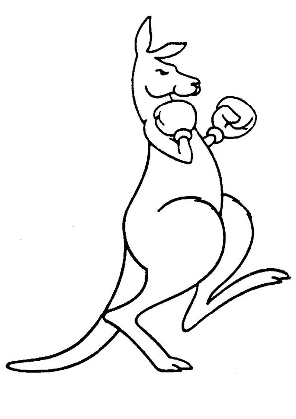 Coloring pages kangaroo with boxing gloves coloring page