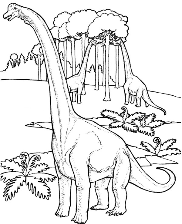 Brachiosaurus coloring page dinosaur