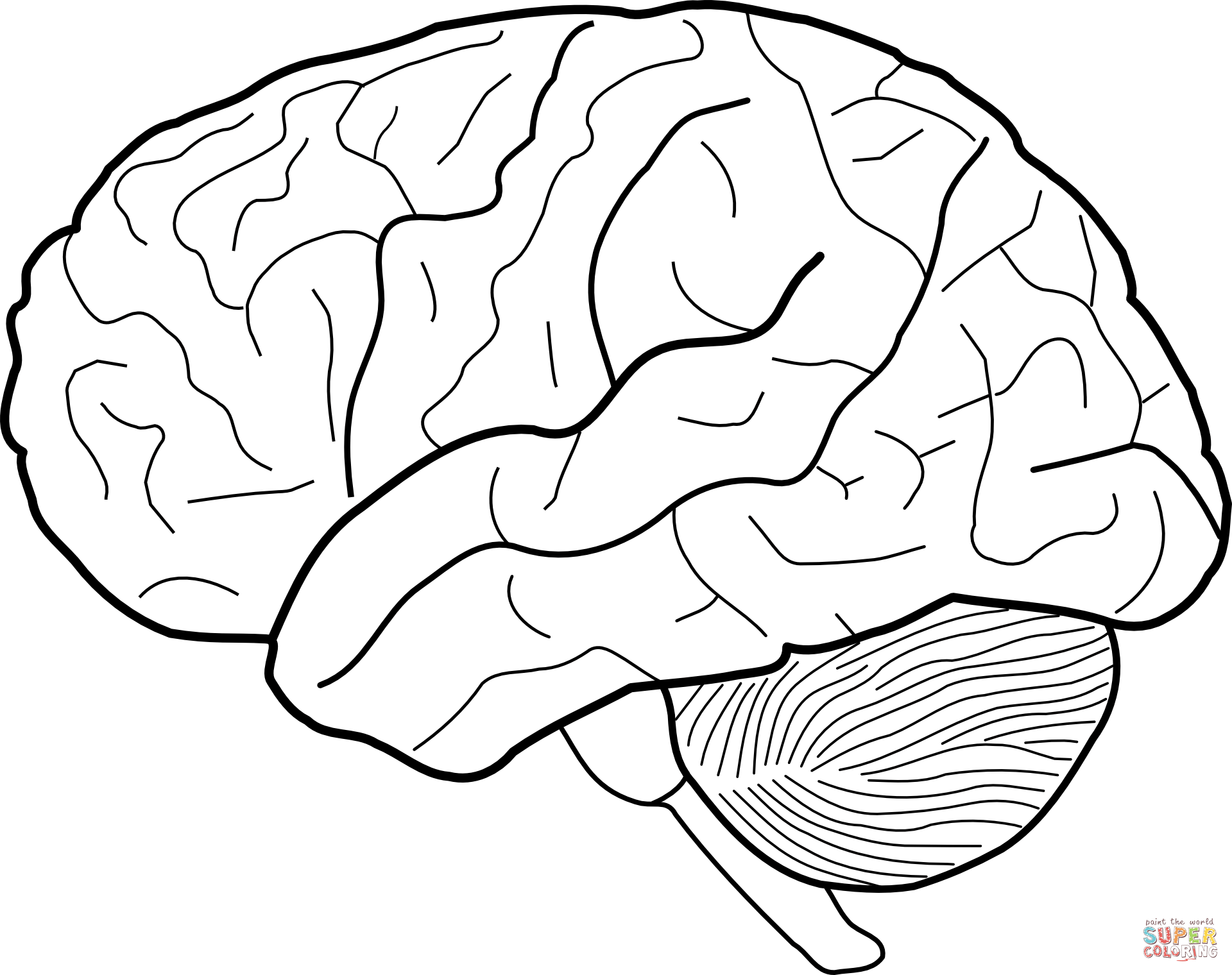 Human brain coloring page free printable coloring pages