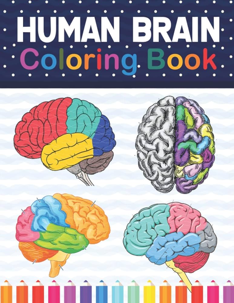 Human brain coloring book human body students self