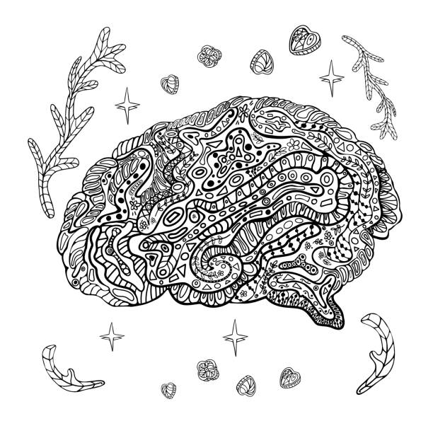 Vector illustration human brain line colouring anatomy draws decorative curves creative mind learning and design adult antistress colouring book floral stylised black and white human brain stock illustration