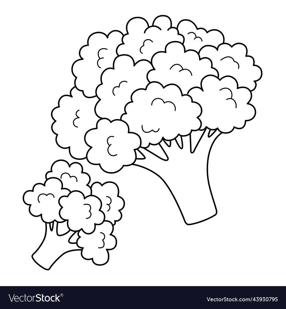 Broccoli vegetable isolated coloring page for kids