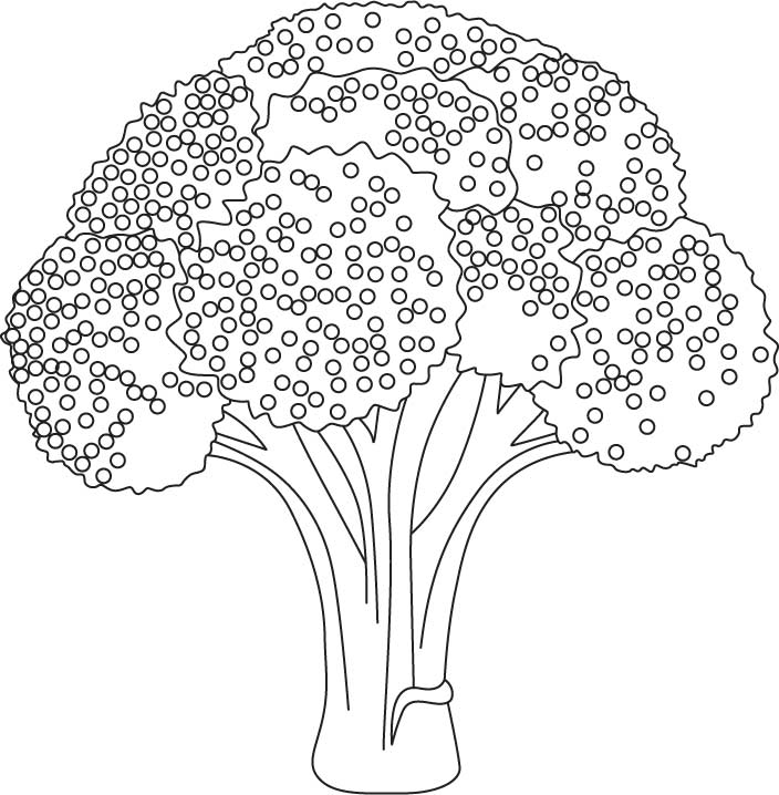 Broccolo coloring pages download free broccolo coloring pages for kids best coloring pages