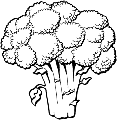 Broccoli coloring page free printable coloring pages