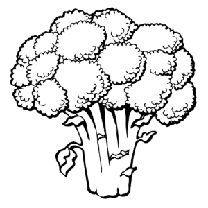 Broccoli coloring pages printable for free download