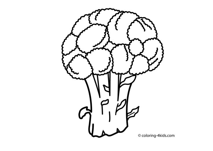 Broccoli vegetable coloring page for kids printable vegetable coloring pages vegetable drawing coloring pages for kids