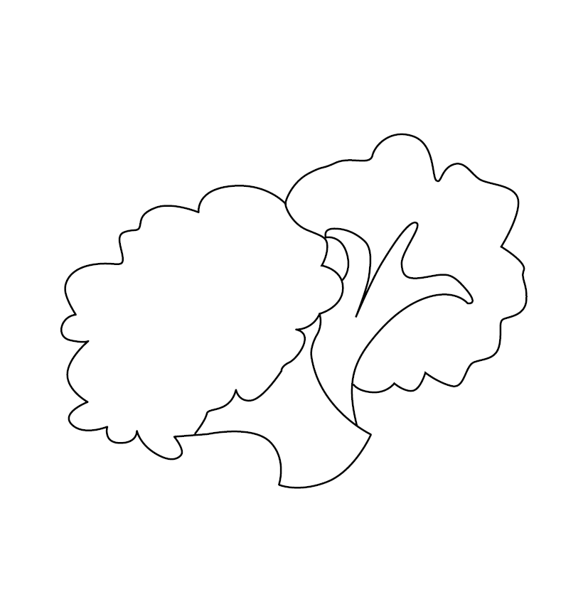 Broccoli colouring picture free colouring book for children â monkey pen store