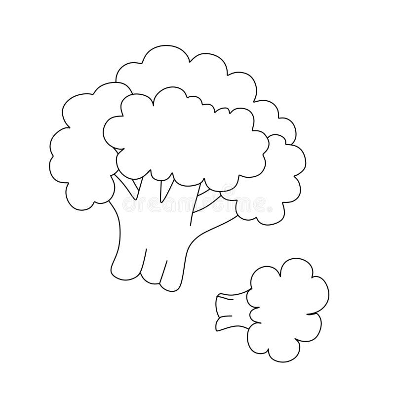 Broccoli coloring stock illustrations â broccoli coloring stock illustrations vectors clipart