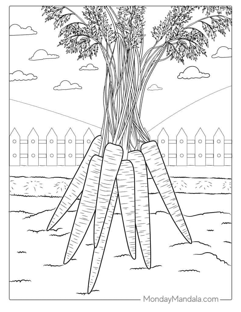 Vegetable coloring pages free pdf printables