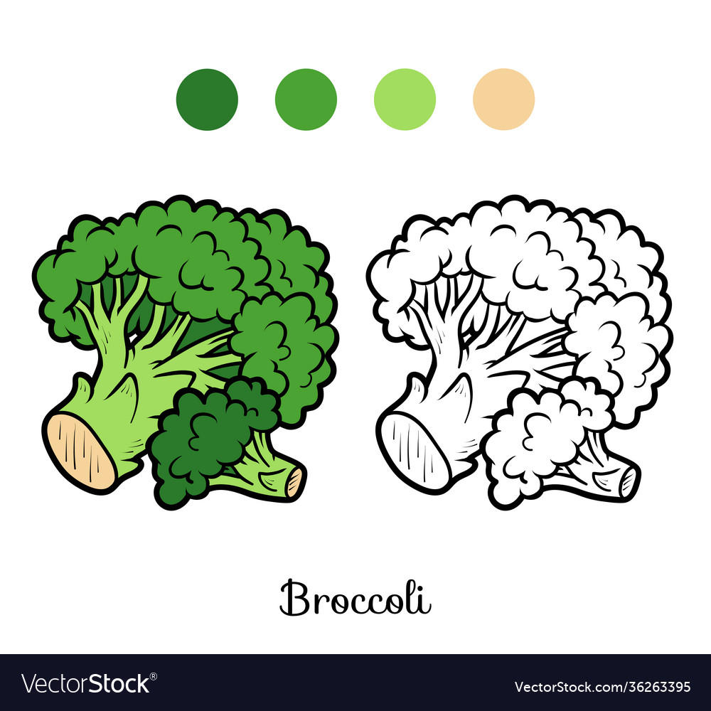 Coloring book broccoli royalty free vector image