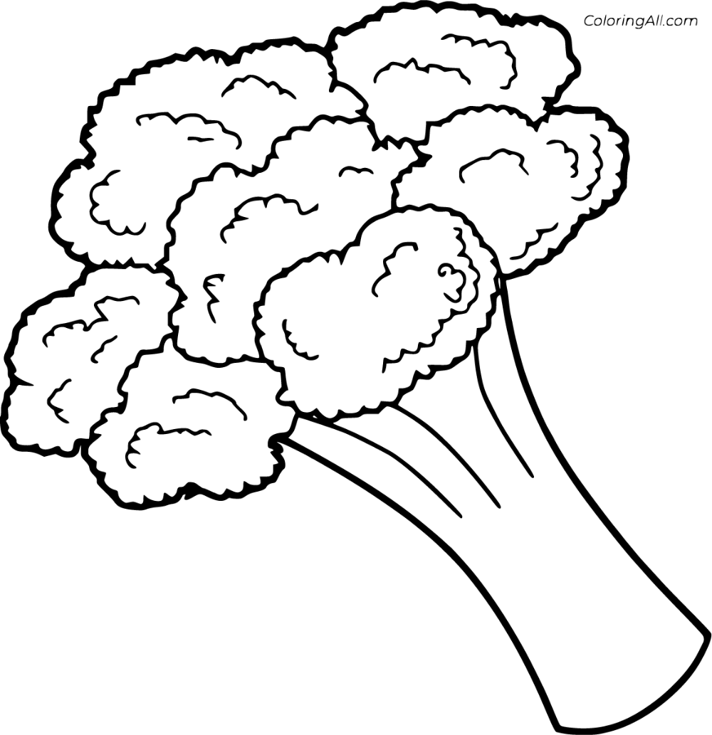 Free printable broccoli coloring pages in vector format easy to print from any device and automâ vegetable coloring pages coloring pages fruit coloring pages