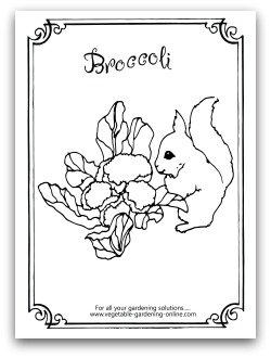 Free vegetable garden coloring books