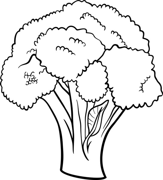 Broccoli coloring pages royalty