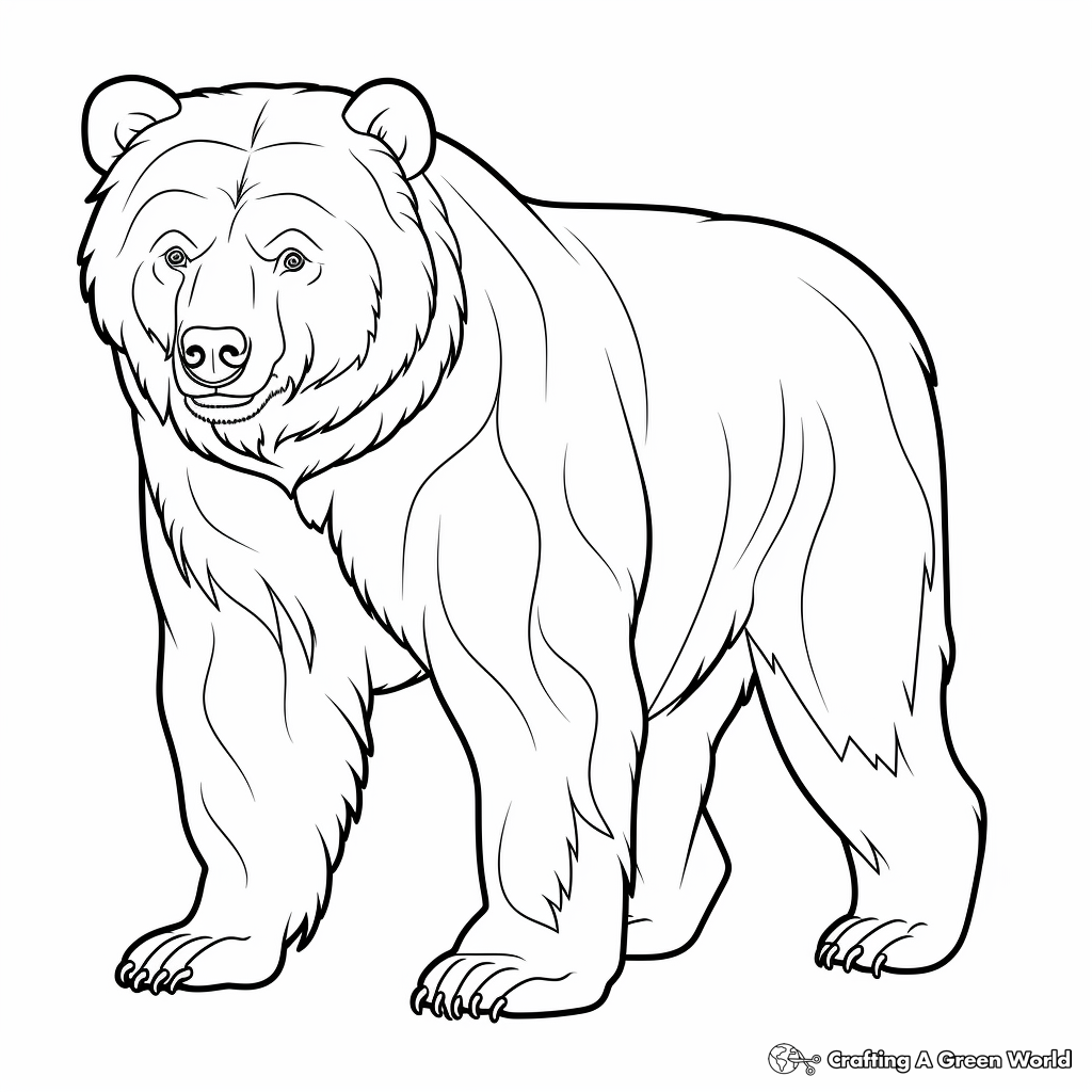 Brown bear coloring pages