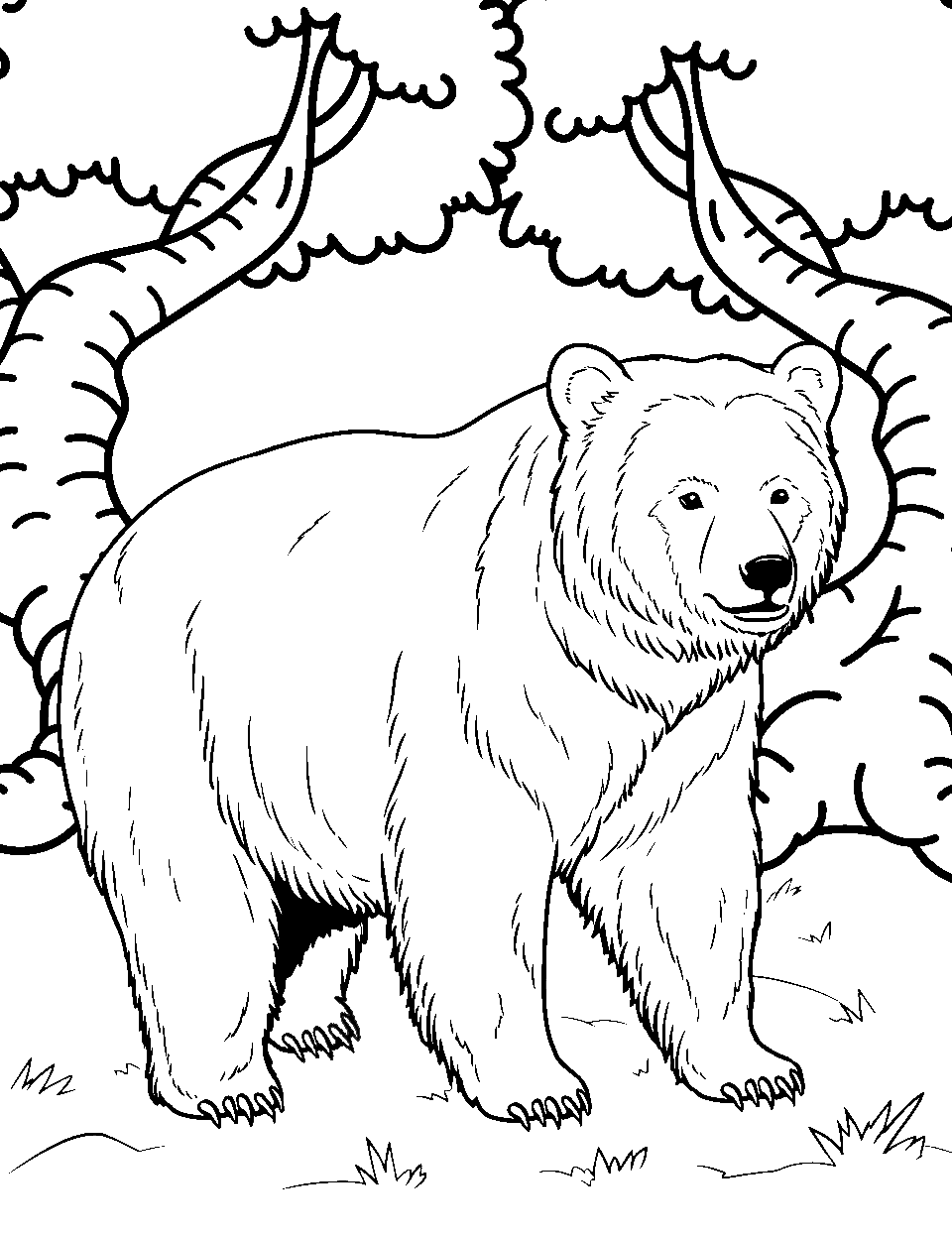 Bear coloring pages free printable sheets