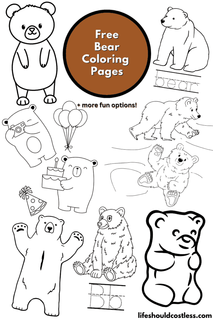 Bear coloring pages free printable pdf templates