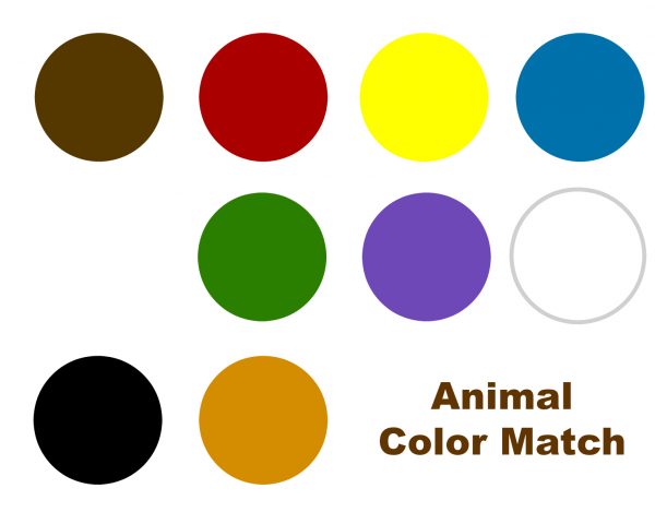 Color matching activity for brown bear brown bear what do you see free printable