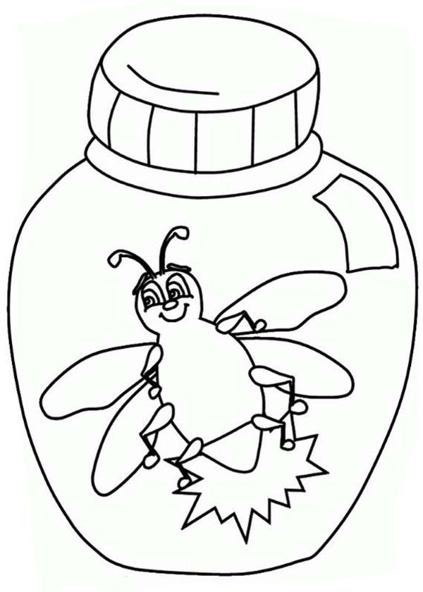 Firefly in a jar coloring page color luna coloring pages fireflies in a jar bug coloring pages