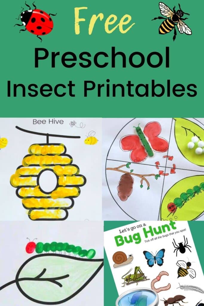 Free preschool insect theme printables activities