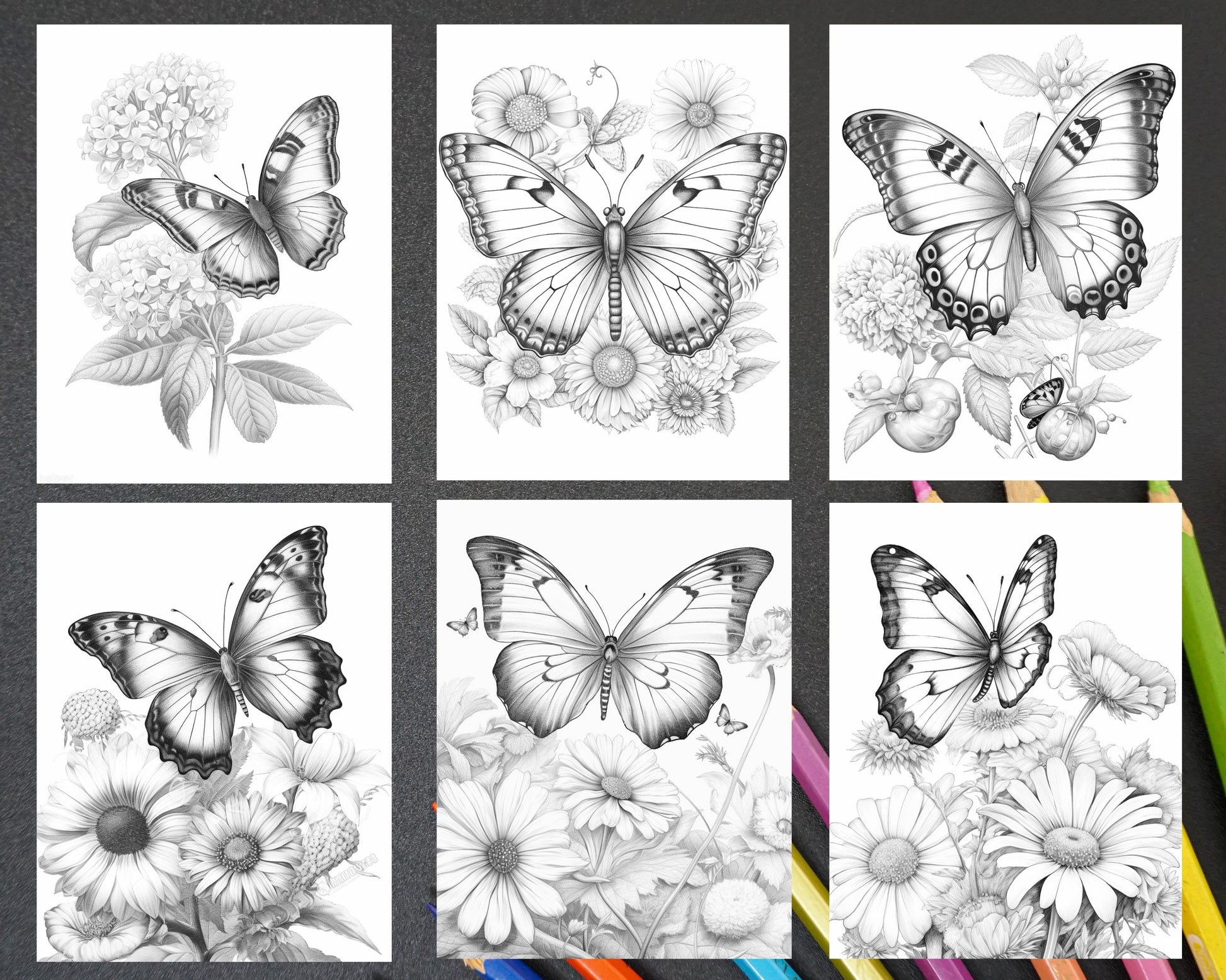 Vintage botanical butterfly grayscale coloring pages printable for adu â coloring