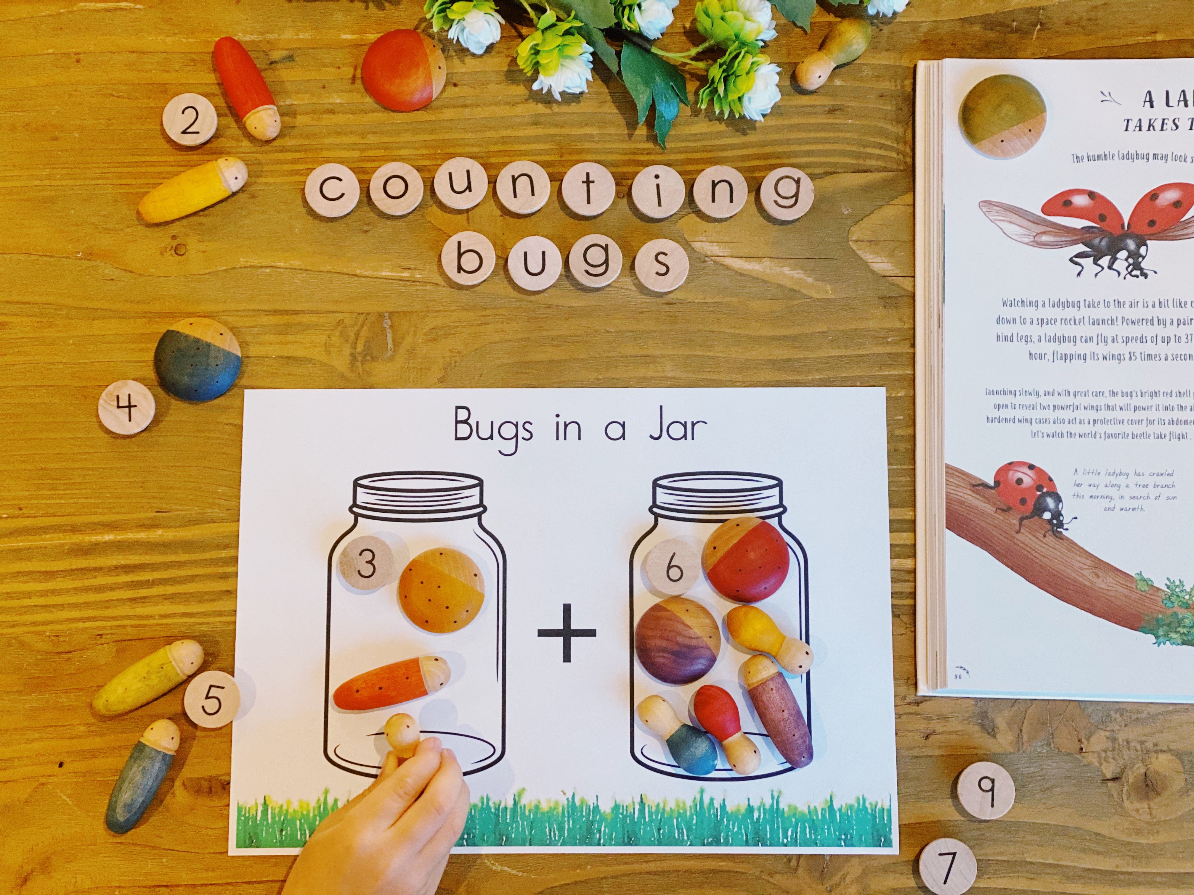 Learn bugs in a jar counting activity â oskars wooden ark