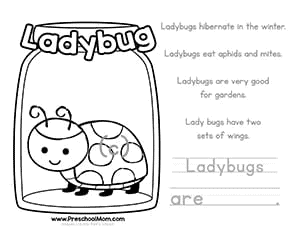 Color learn bug worksheets