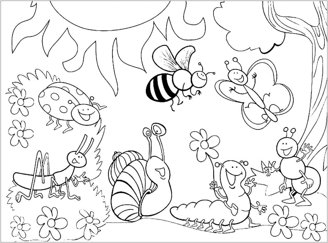 Insect image coloring page