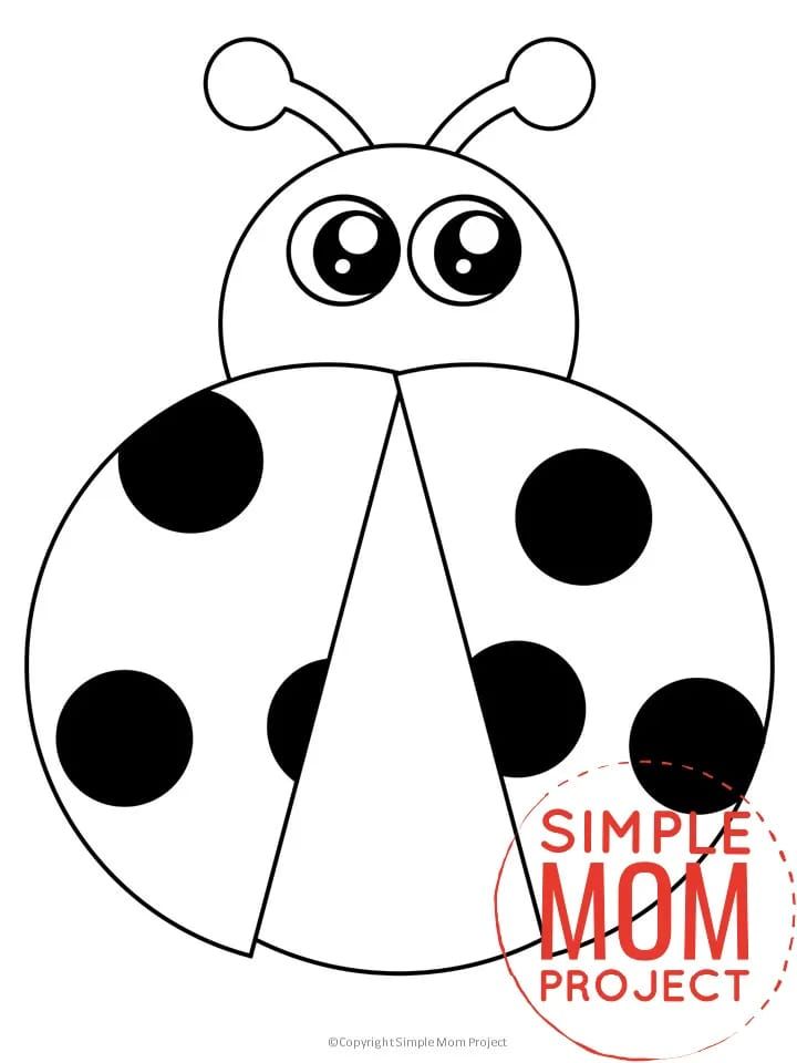 Bug and insect template printables insect crafts ladybug crafts bug crafts