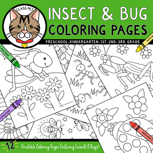 Insect and bug coloring pages made by teachers