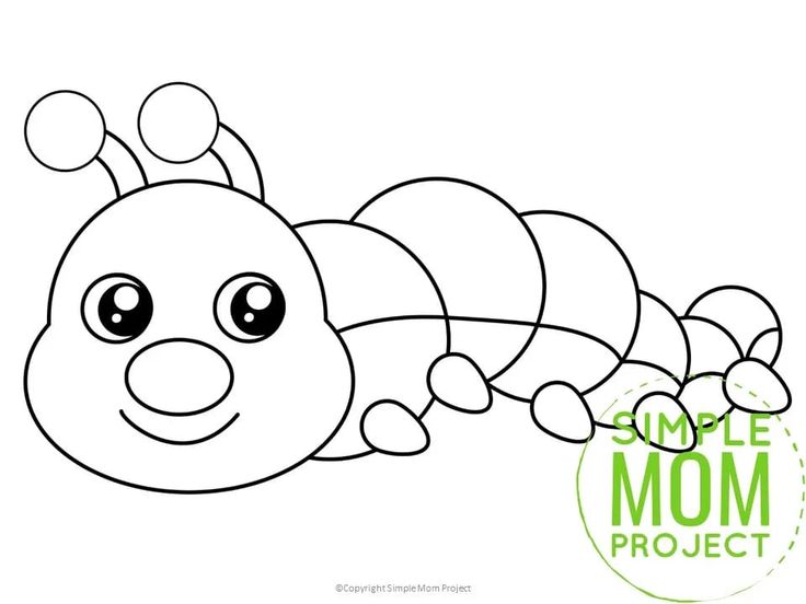 Bug and insect template printables insect coloring pages insect crafts bug crafts