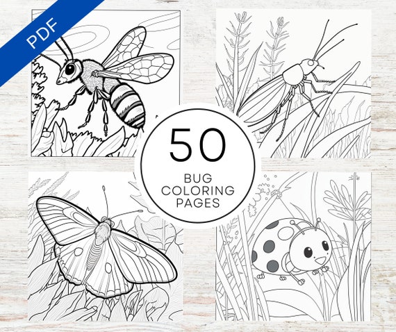 Kdp interior bugs coloring pages for kids x printable pdf canva template mercial bug colouring book