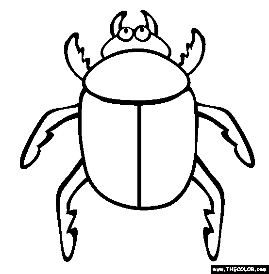 Insect online coloring pages