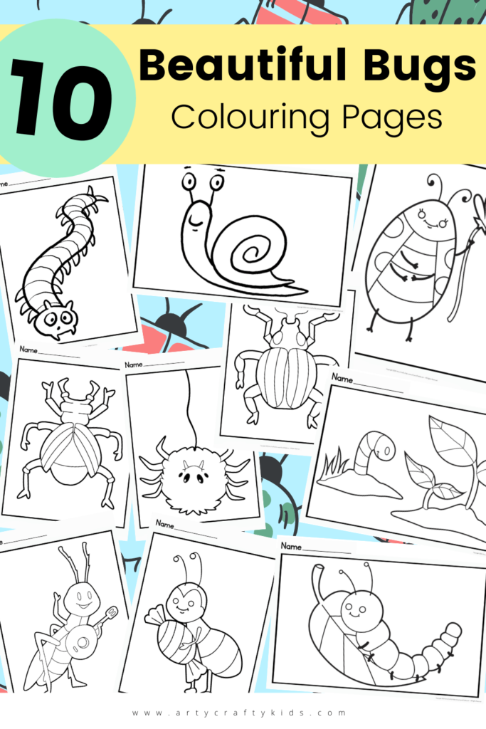 Beautiful bugs coloring pages