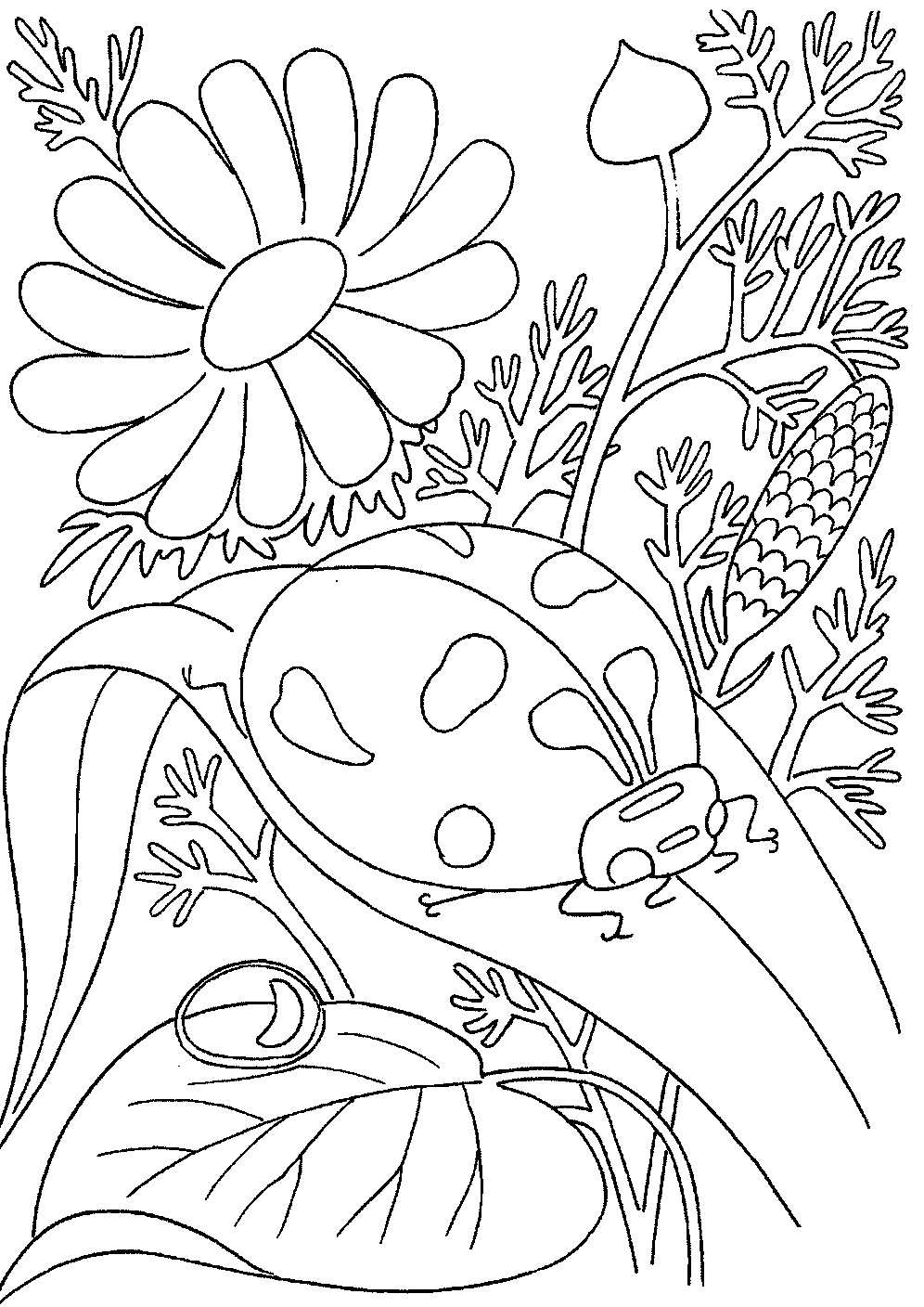 Bugs coloring pages printable for free download