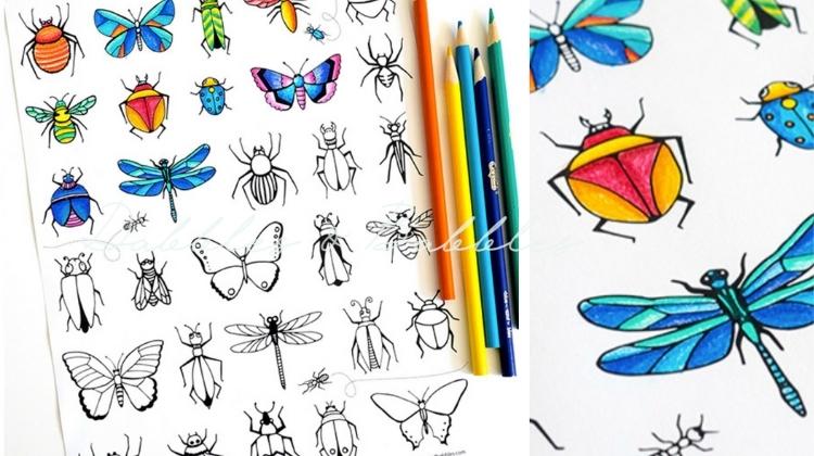 Bugs butterflies coloring page