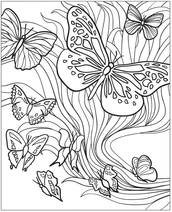 Insect coloring pages