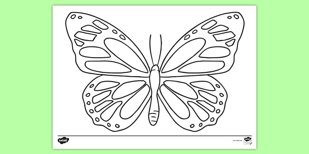 Free printable butterfly colouring pages primary resources